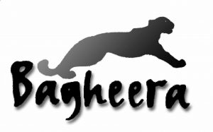 bagheera 